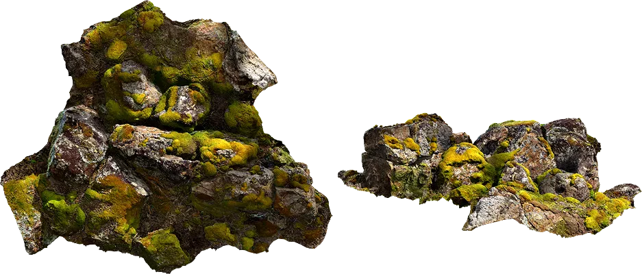 mossy rock cluster 004 — Descargar