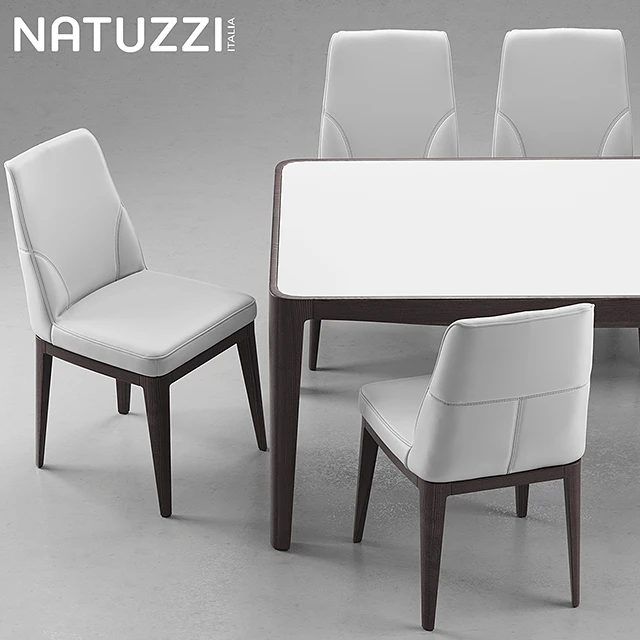 Table and chairs Natuzzi minerva, Saturno, Vesta — Descargar