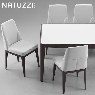 Table and chairs Natuzzi minerva, Saturno, Vesta — Ver 2
