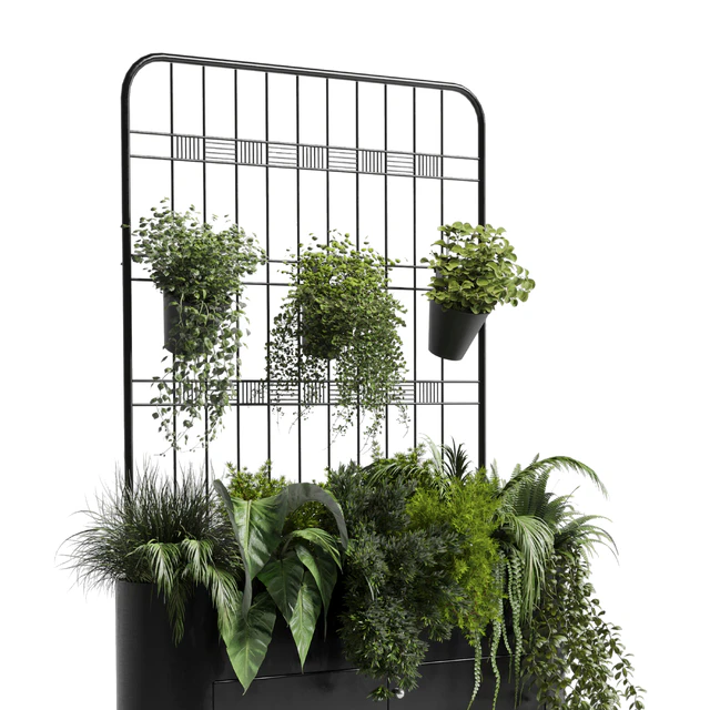 stand wall decor with shelves for the library and closet or showcase plants collection 175 — Descargar