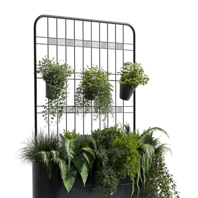 stand wall decor with shelves for the library and closet or showcase plants collection 175 — Ver 3