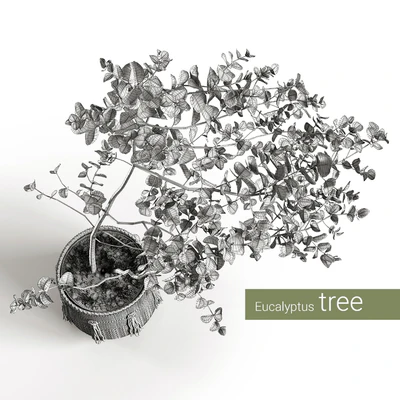 Eucalyptus tree — Ver 2