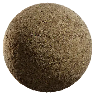 dried grass 003 — Скачать