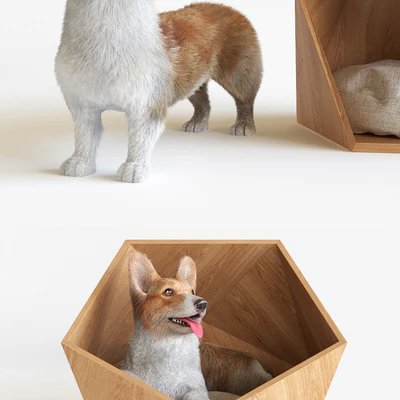 Corgi — Ver 2