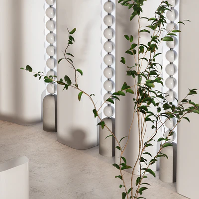 Reception area. Reception — Ver 2
