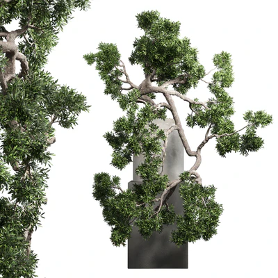bonsai tree vase old concrete dirt pot — Ver 2