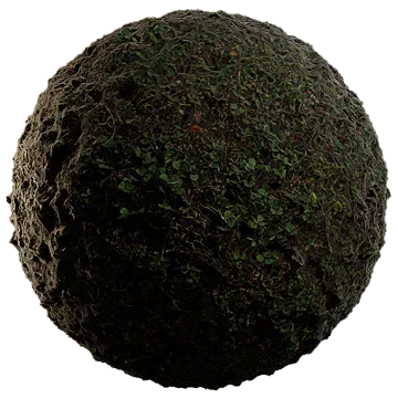 moist lakebed growth 001 — Descargar