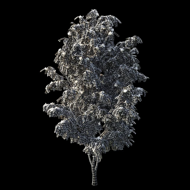 Rowan 4 meters — Descargar