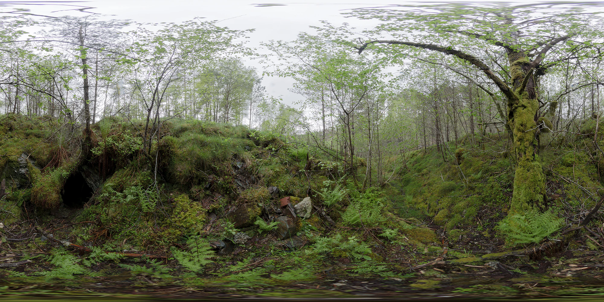 attra forest 2015 — Скачать