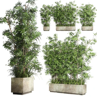 Collection Outdoor plant 49 concrete dirt old vase bax pot tree fern bamboo — Ver 1