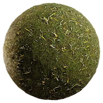 grass and leaves 012 — Скачать