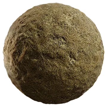 grass dried 056 — Descargar