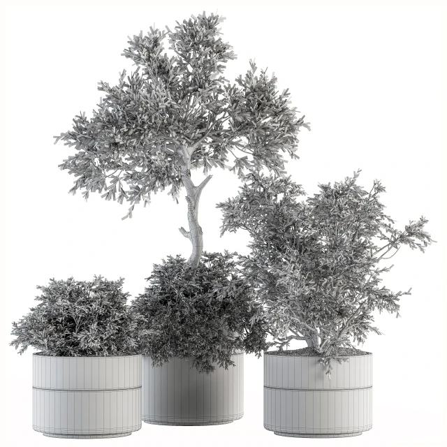 indoor Plant Set 200 - Tree in pot — Скачать