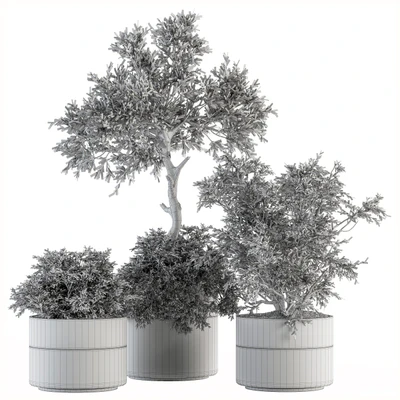 indoor Plant Set 200 - Tree in pot — Вид 3