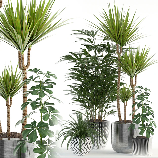 Plants collection 90 — Descargar