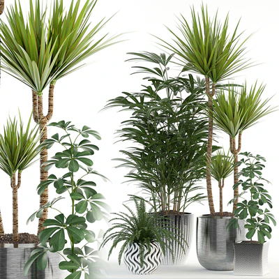 Plants collection 90 — Ver 1