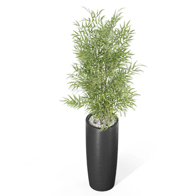 Plants collection 1009 — Вид 3