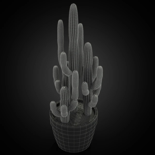 Plants collection 254 — Descargar