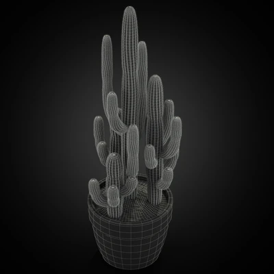 Plants collection 254 — Ver 2