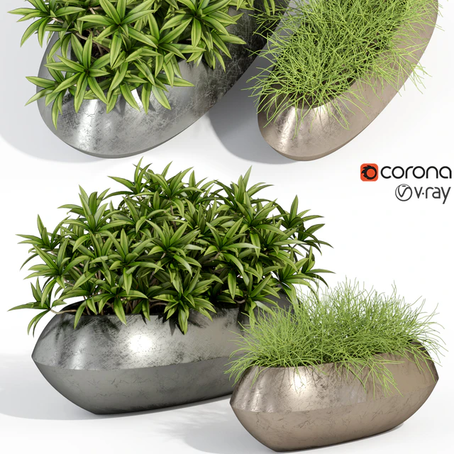 Plants collection 279 Fleurami ROYAL — Descargar