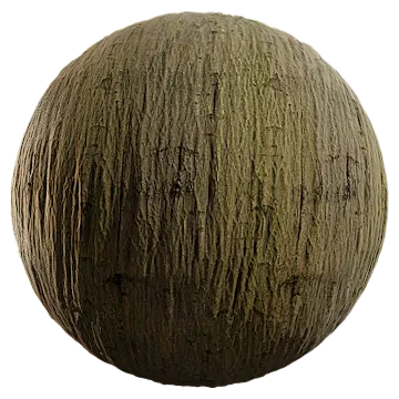 hornbeam bark 003 — Descargar