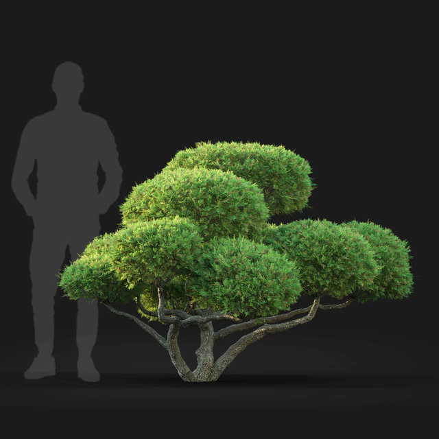 Bonsai — Скачать