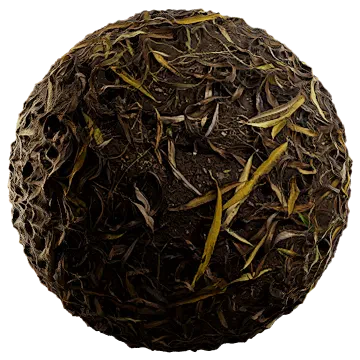 dried leaves 023 — Descargar