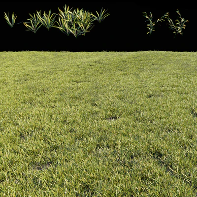 Grass kit 1 — Вид 2