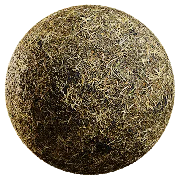 dried mixed leaves 001 — Скачать