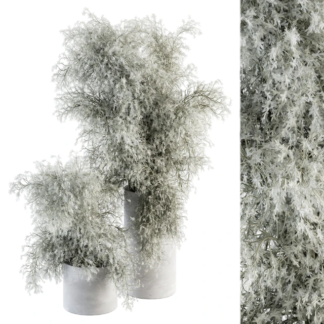 Bouquet - Green Branch in Concrete vase 79 — Descargar