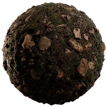 rocky forest floor 010 — Скачать