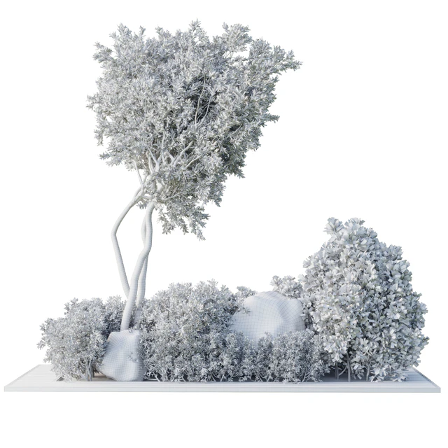 Collection Outdoor Indoor plant 67 green garden plant-tree-bush corona — Скачать