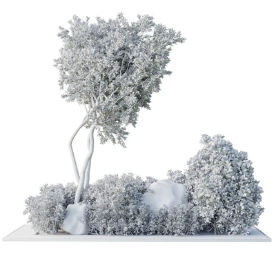 Collection Outdoor Indoor plant 67 green garden plant-tree-bush corona — Вид 2