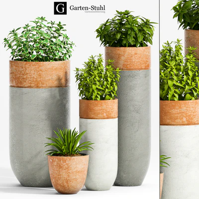 PLANT -35 — Ver 1