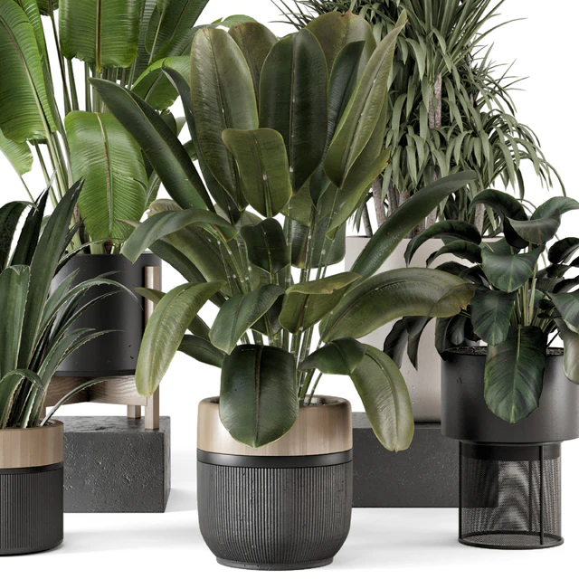 Indoor Plants in Ferm Living Bau Pot Large - Set 1947 — Download