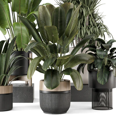 Indoor Plants in Ferm Living Bau Pot Large - Set 1947 — View 3