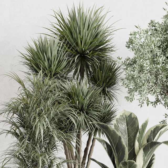indoor plant set 414 plant ficus elastica tree palm bush concrete vase — Скачать