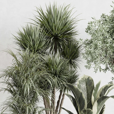 indoor plant set 414 plant ficus elastica tree palm bush concrete vase — Вид 4
