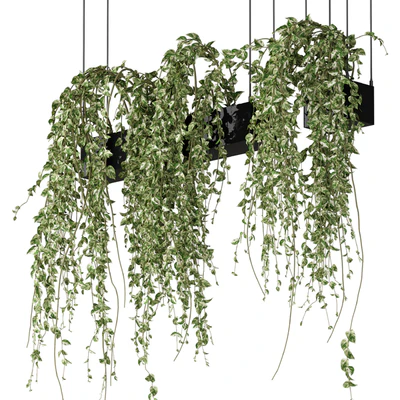 Bouquet Collection 08 - Decorative Hanging Plants — Ver 3