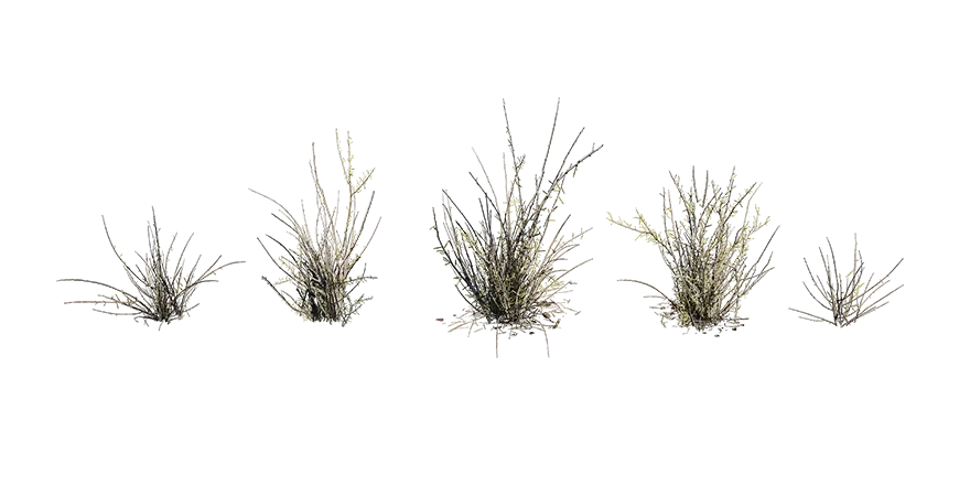 dead finish 001 — Descargar