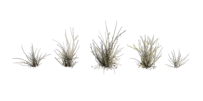 dead finish 001 — download