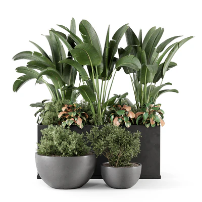 Outdoor Garden set Bush and Tree - Garden Set 1144 — Ver 4