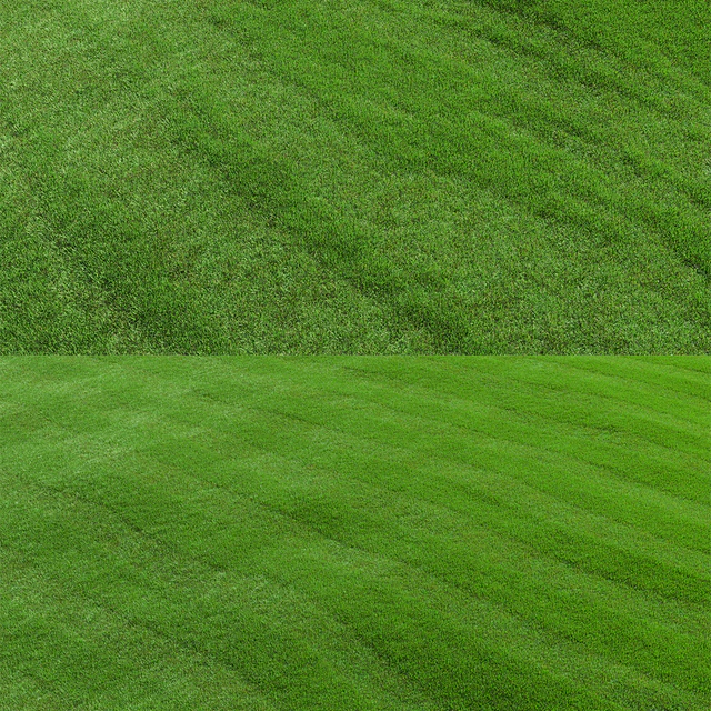 lawn grass — Descargar