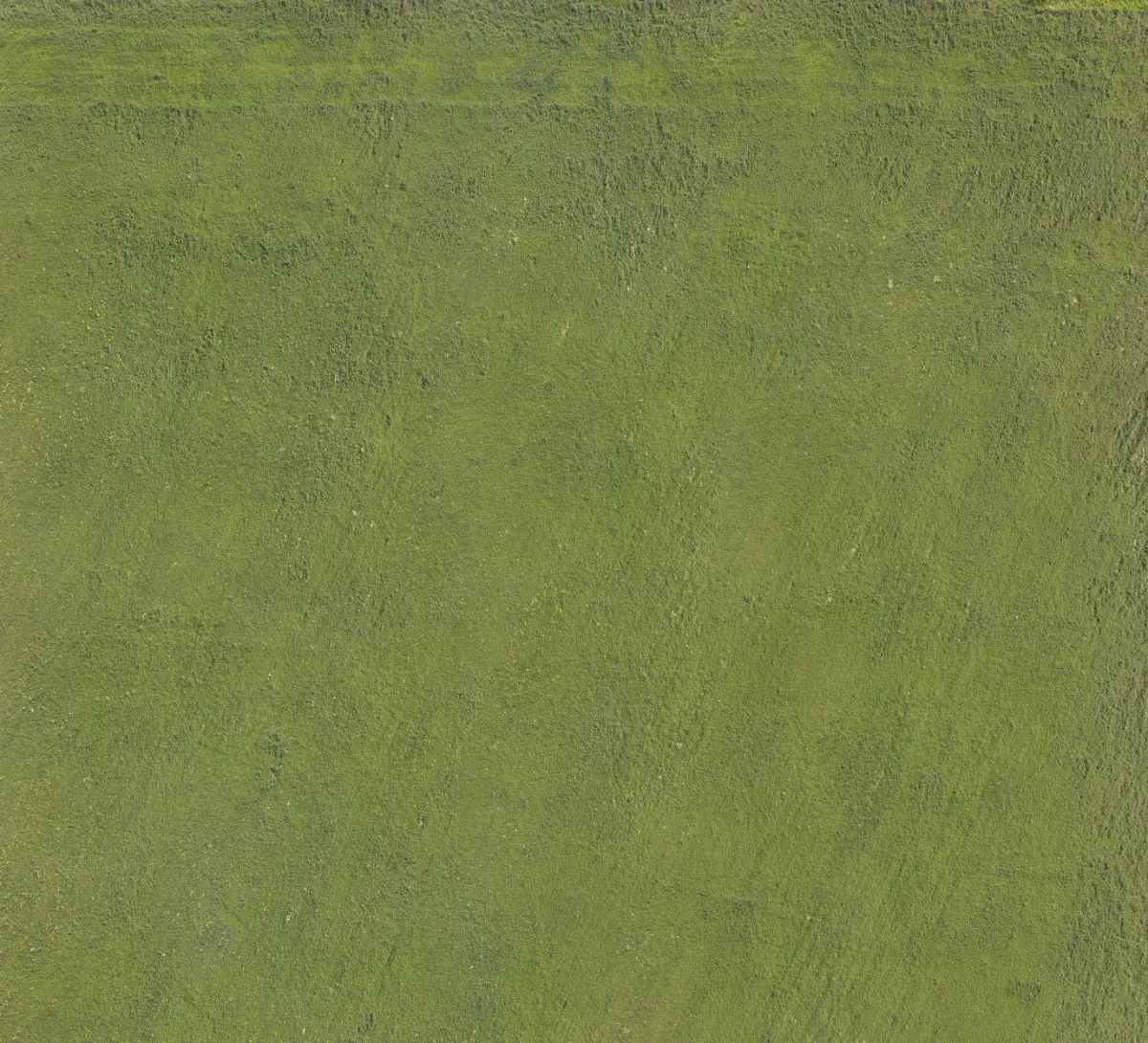 field summer 017 — Descargar