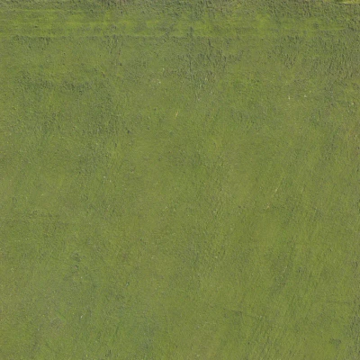 field summer 017 — Descargar