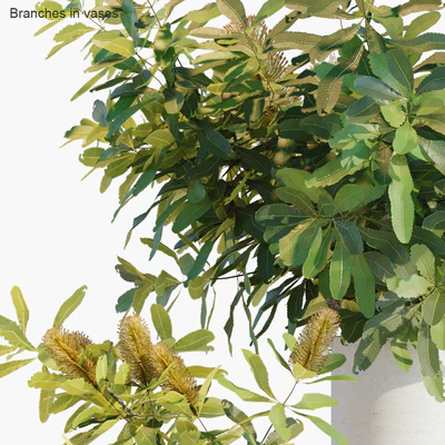 Branches in vases 29 — Вид 2