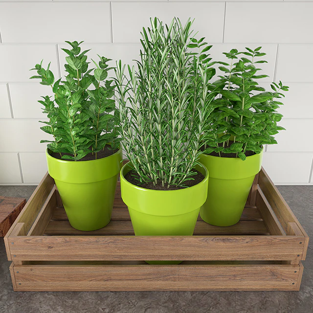 Kitchen Accessories 3 — Descargar