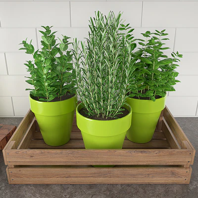Kitchen Accessories 3 — Ver 4