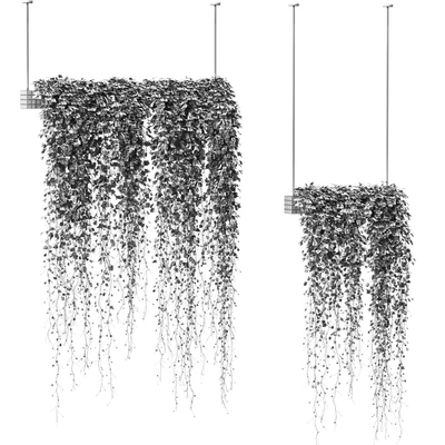 Plants in hanging pots. 2 models — Ver 2