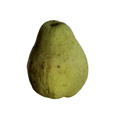 guava 002 — Скачать